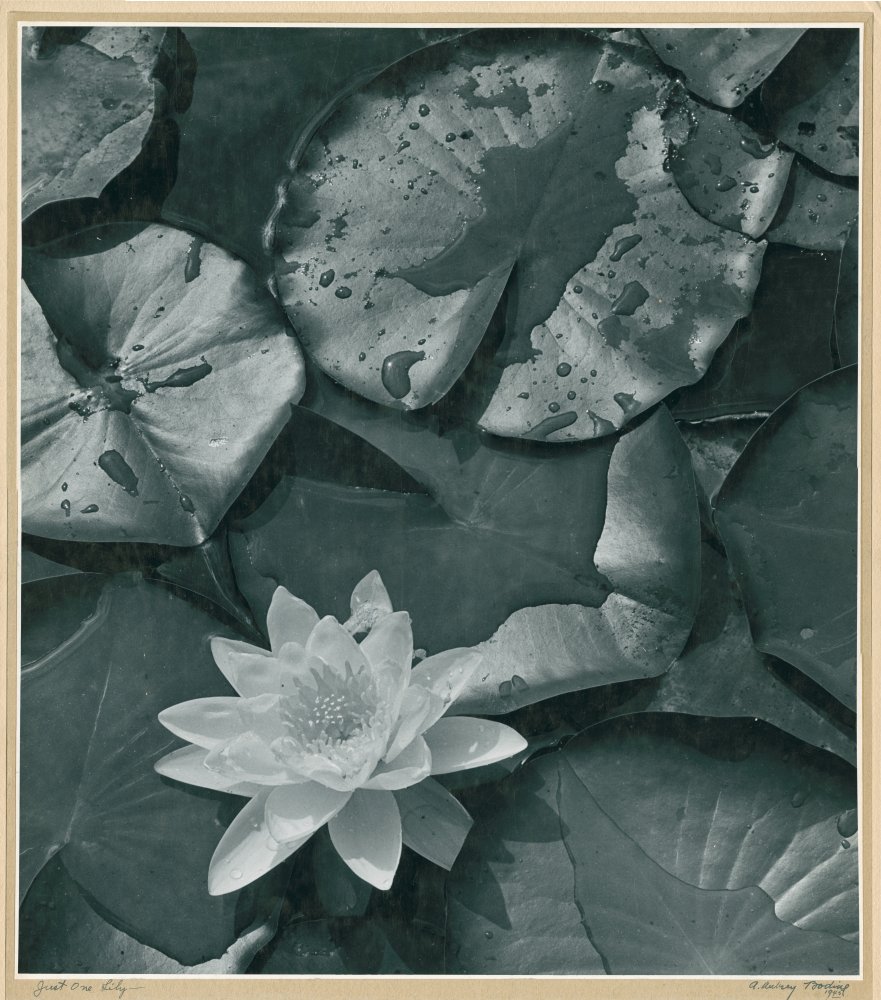 Click for larger image